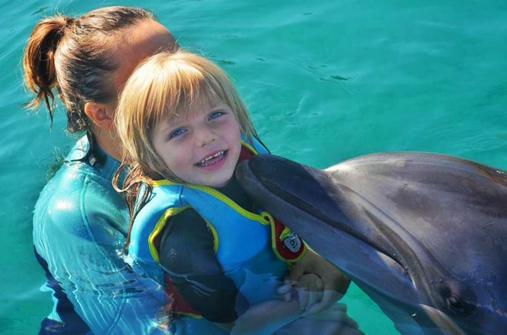 Dolphin Therapy