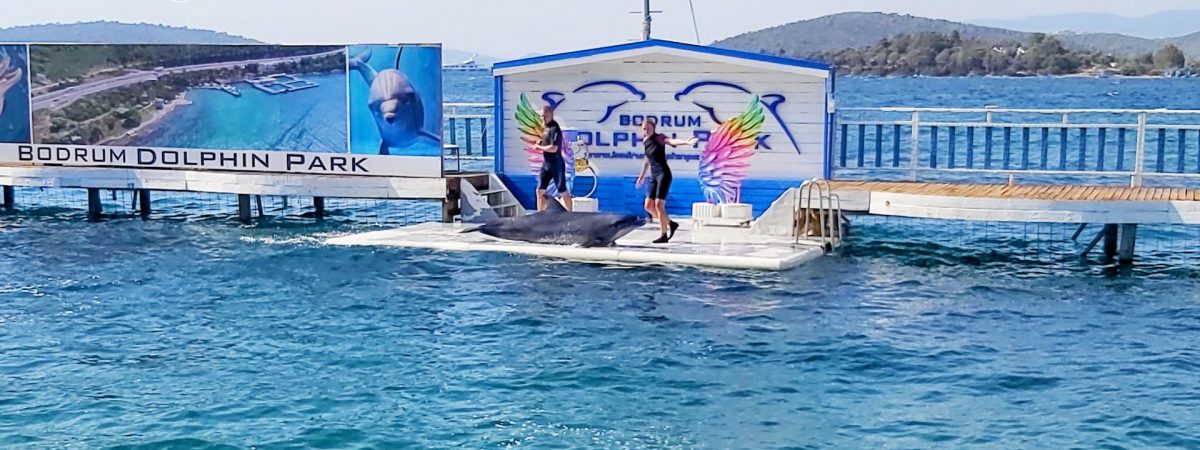 Dolphin Park Bodrum